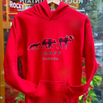 Kids red hoodie with moose, bear and fox graphic and 'Banff Canada' text on a hanger in front of a store window.