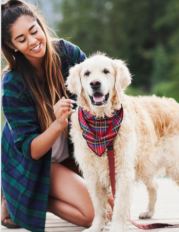A women with her dog. The dog has a royal stewart pet banadana around his neck.