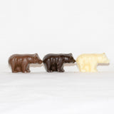 Solid Chocolate Bears