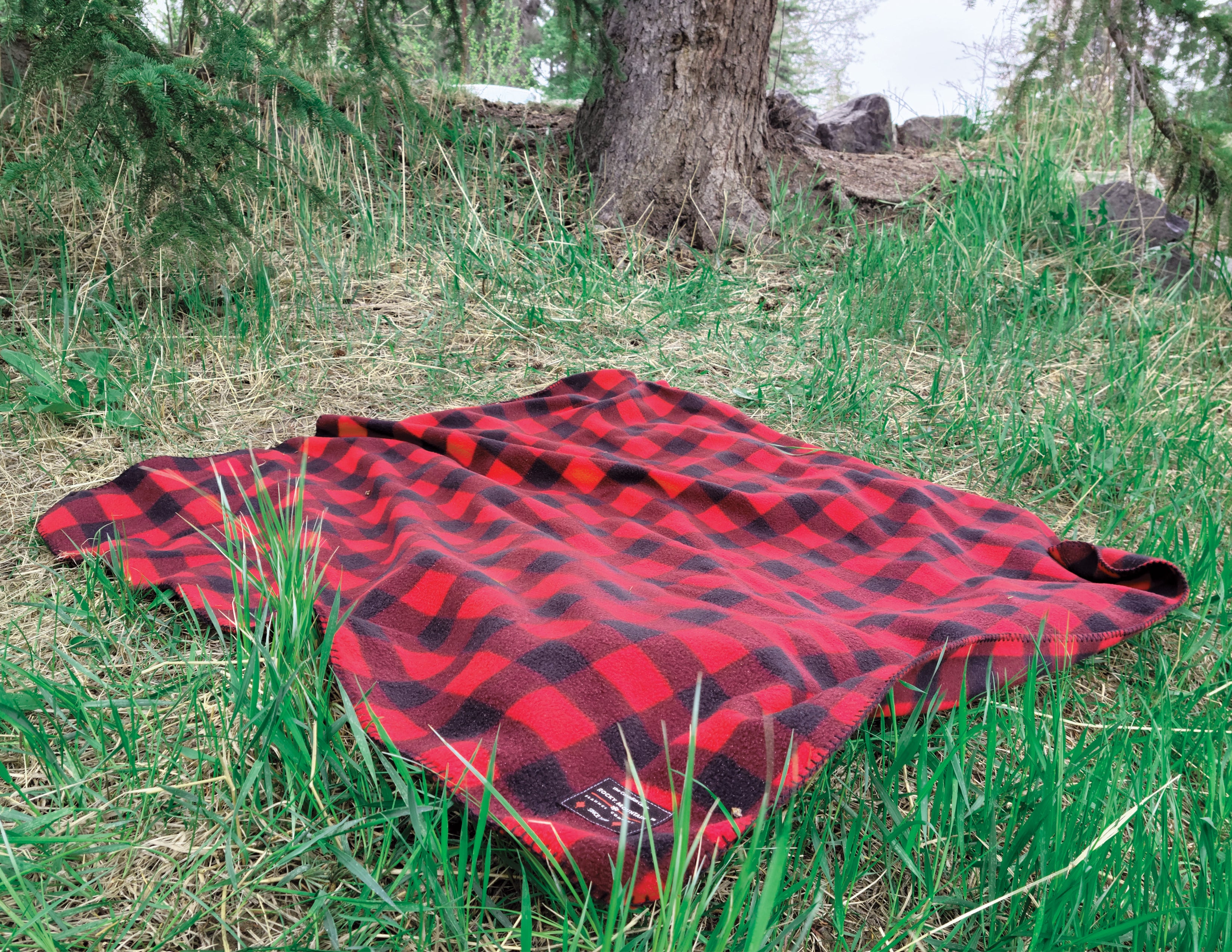 A red and black checkered fleece blanket laid out on grass near a tree.