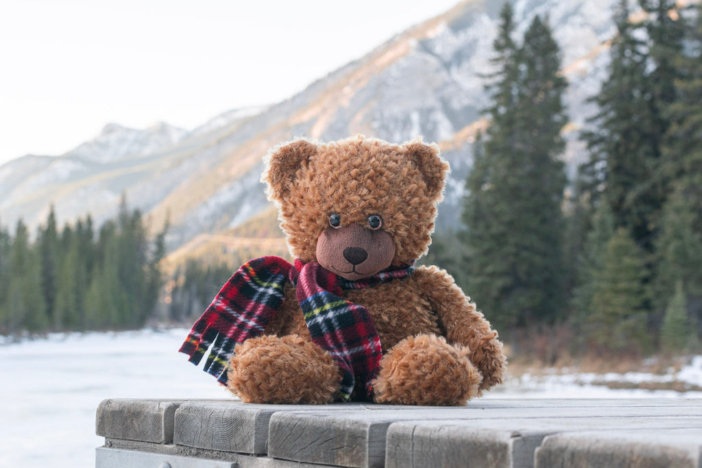 Parker the Cuddly Bear