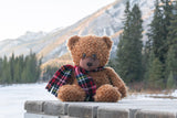 Parker the Cuddly Bear
