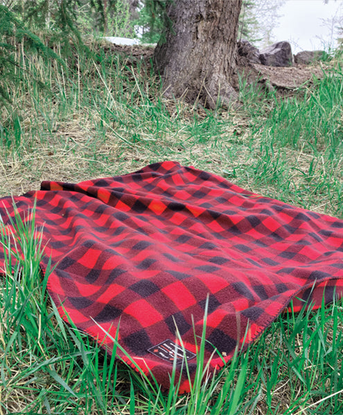 A red and black checkered fleece blanket laid out on grass near a tree.