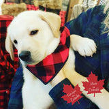 Pet Bandana Large Red/Black Buffalo Check