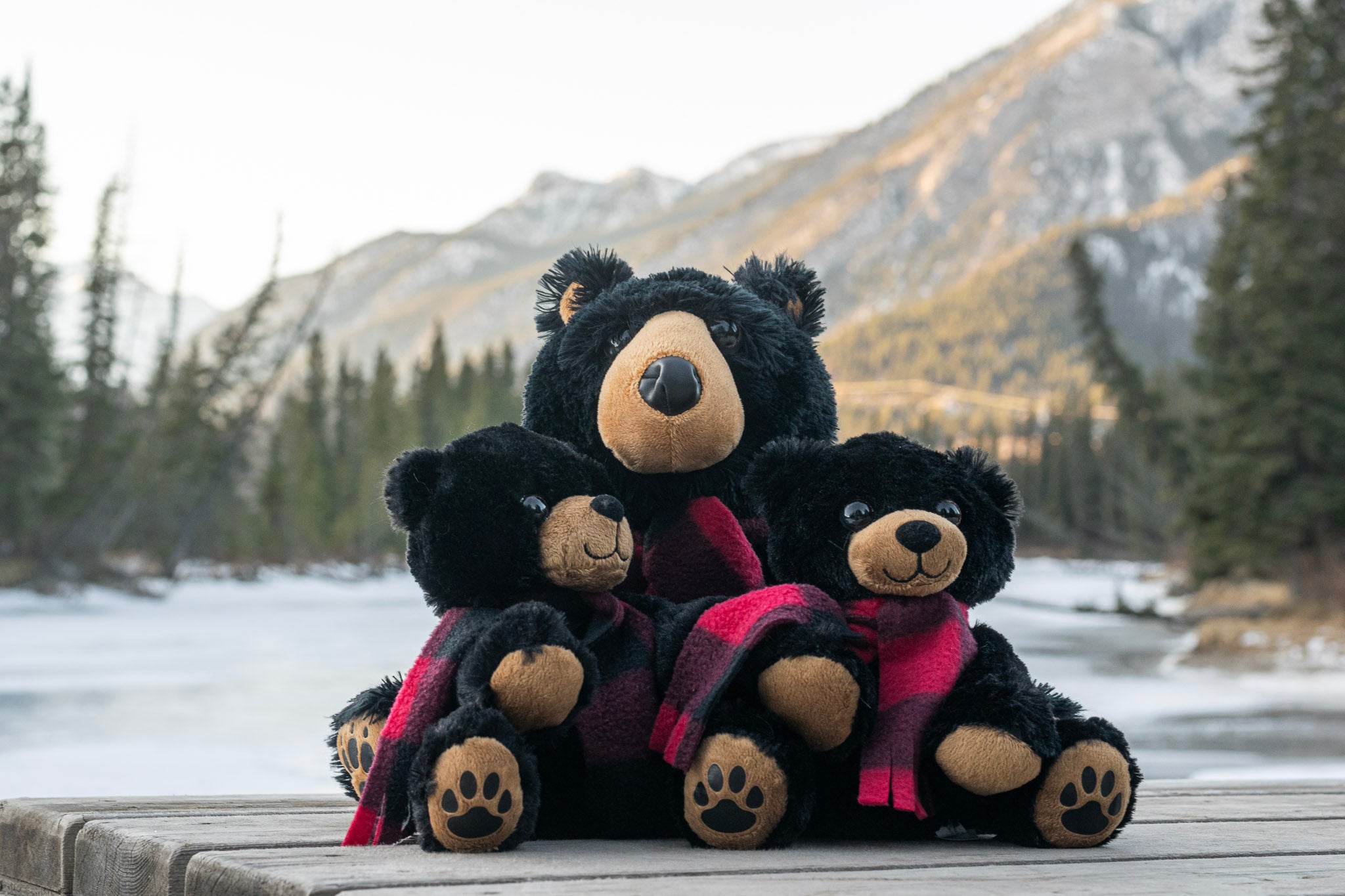 Teddy Bears
