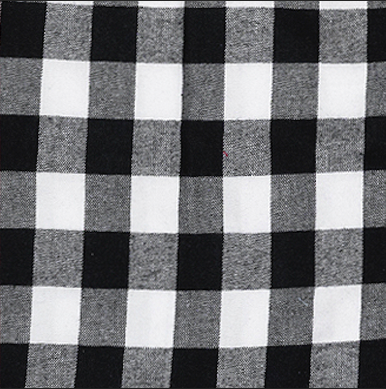 Close up of Black White Buffalo Check