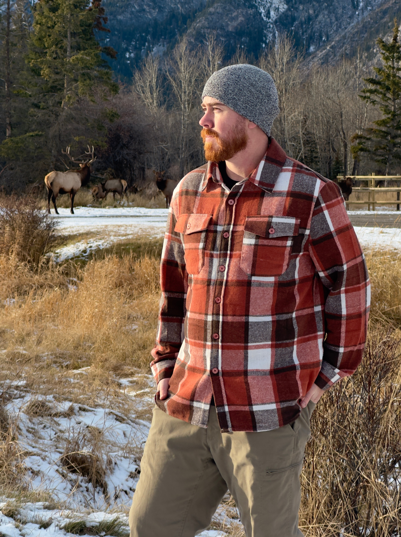 Man wearing a plaid shirt and beanie standing in a snowy landscape with elk in the background in Banff, Canada