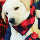 Pet Bandana Large Red/Black Buffalo Check