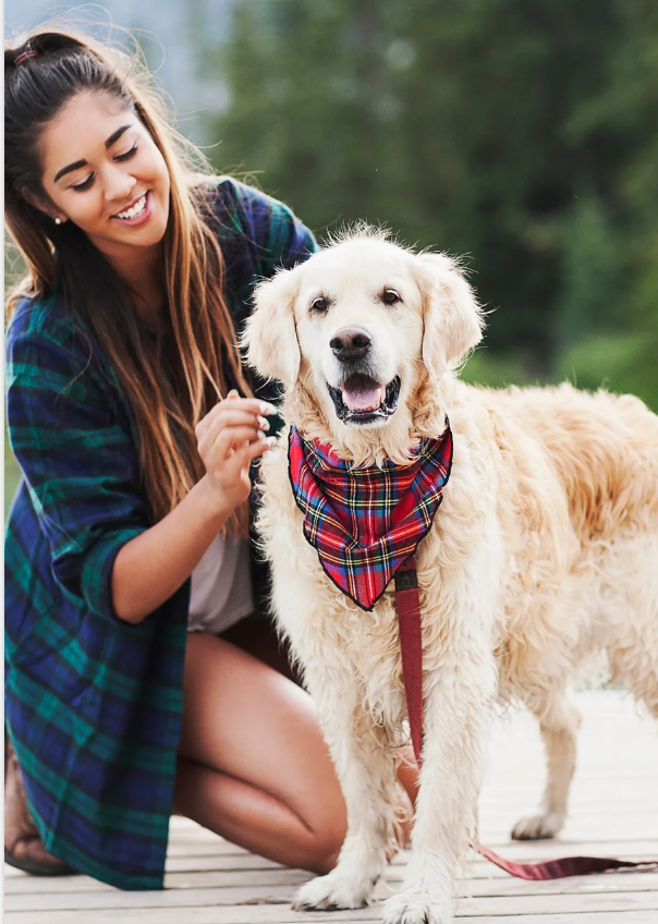 A women with her dog. The dog has a royal stewart pet banadana around his neck.