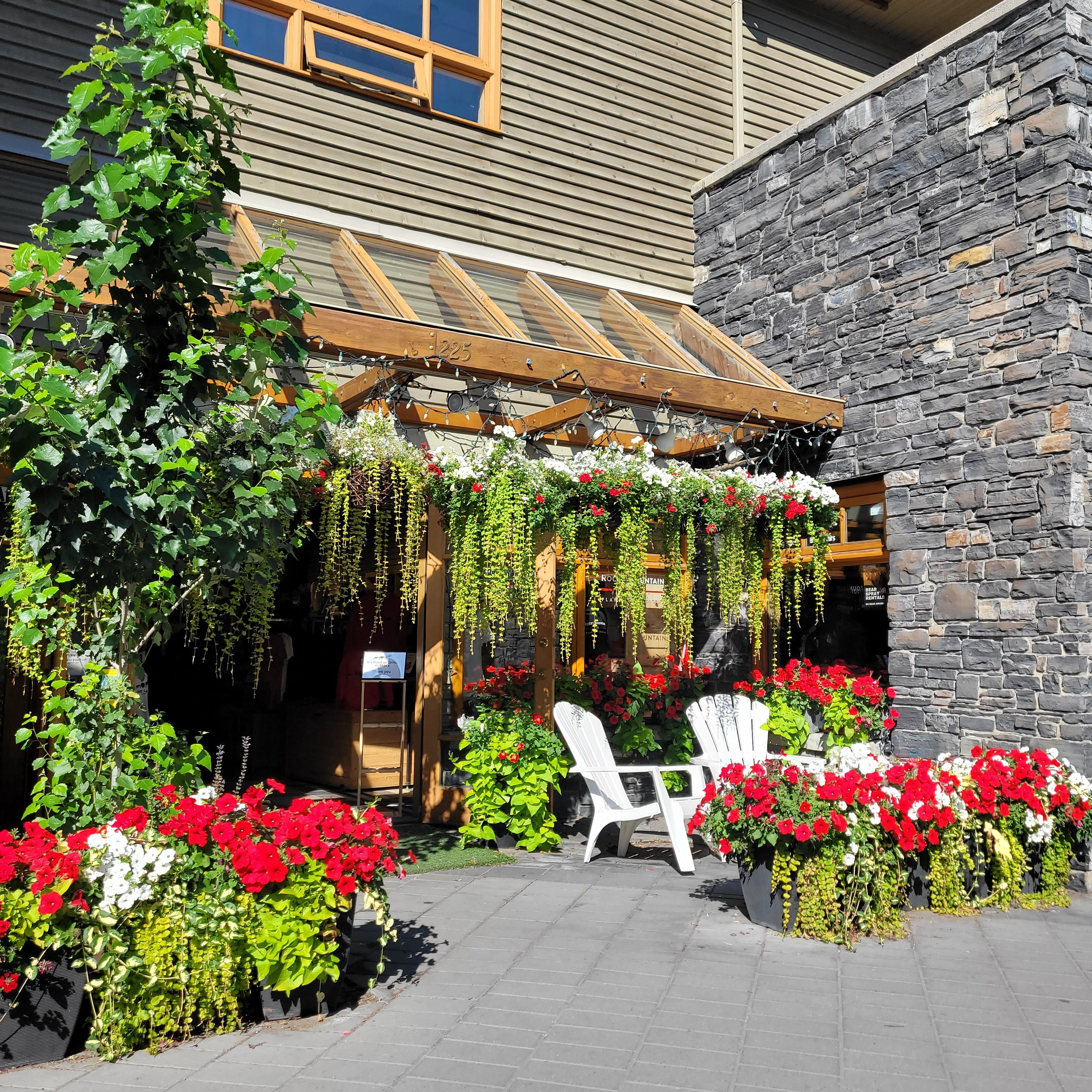 Decorative garden with flowers and plants in front of a building.