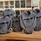 Kids grey hoodies with 'Banff Canada' text and bear designs on a wooden table.