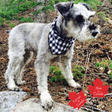 Pet Bandana Small Black/White Buffalo Check