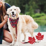 Pet Bandana / Royal Stewart Tartan