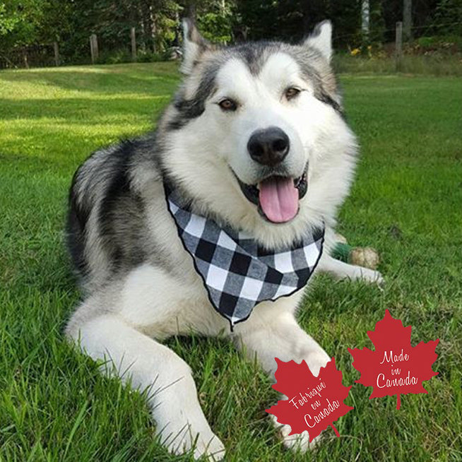 Pet Bandana / Large Black/White Buffalo Check