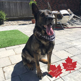 Pet Bandana Small Black/White Buffalo Check