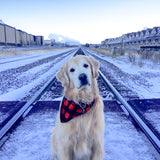 Pet Bandana Large Red/Black Buffalo Check