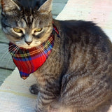 Pet Bandana in Royal Stewart Cat View